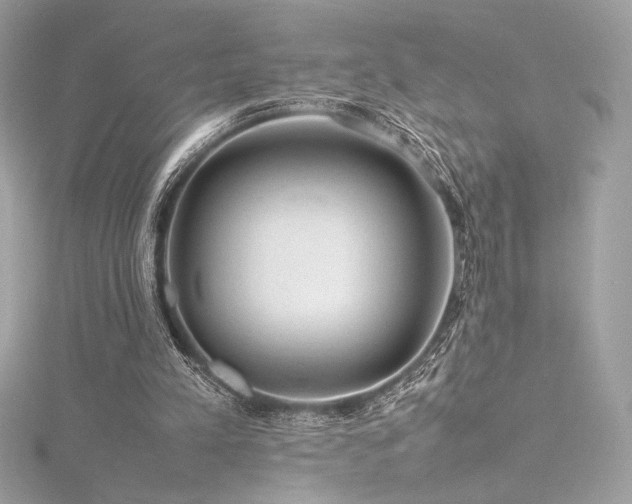 X0000116310197200911301510