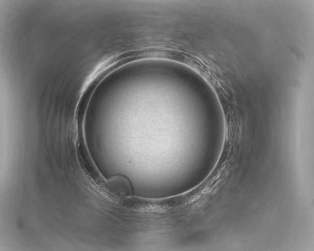 X0000116310198200911301510