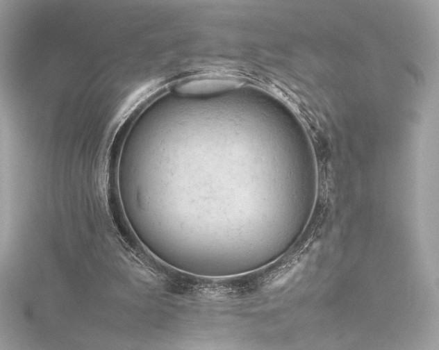 X0000116310199200911301510