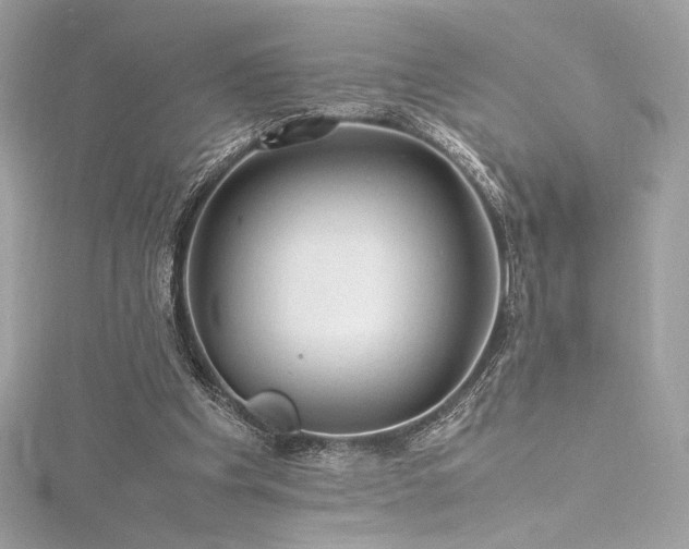 X0000116310201200911301510