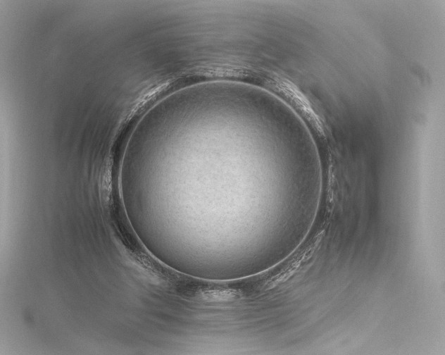 X0000116310202200911301510