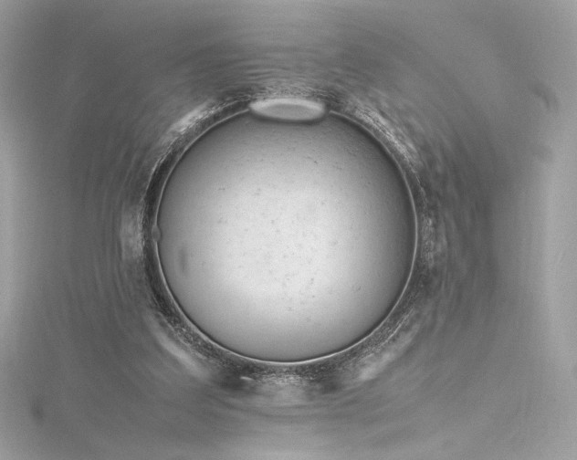 X0000116310203200911301510