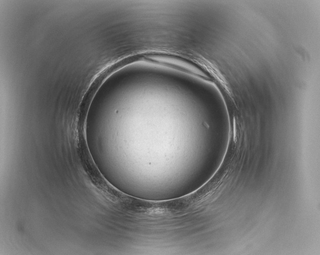 X0000116310204200911301510