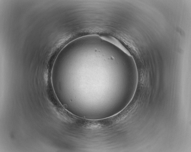 X0000116310206200911301510