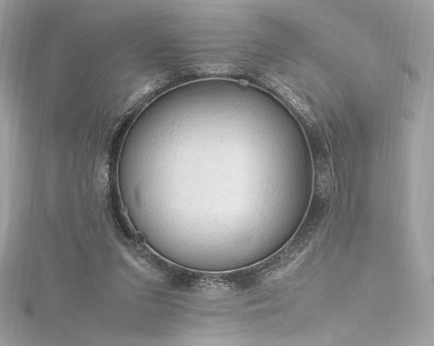 X0000116310207200911301510