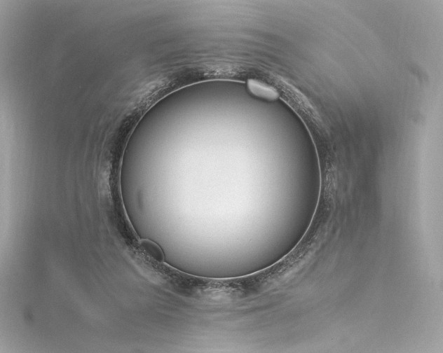 X0000116310209200911301510