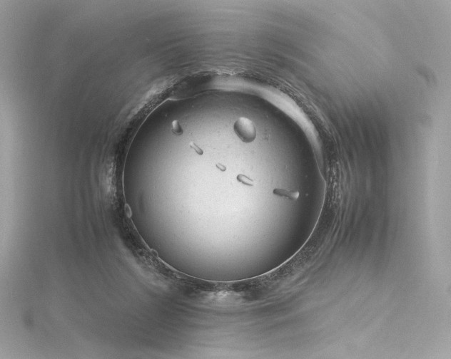 X0000116310212200911301510