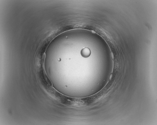 X0000116310215200911301510