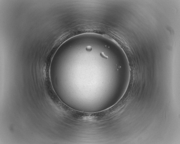 X0000116310216200911301510