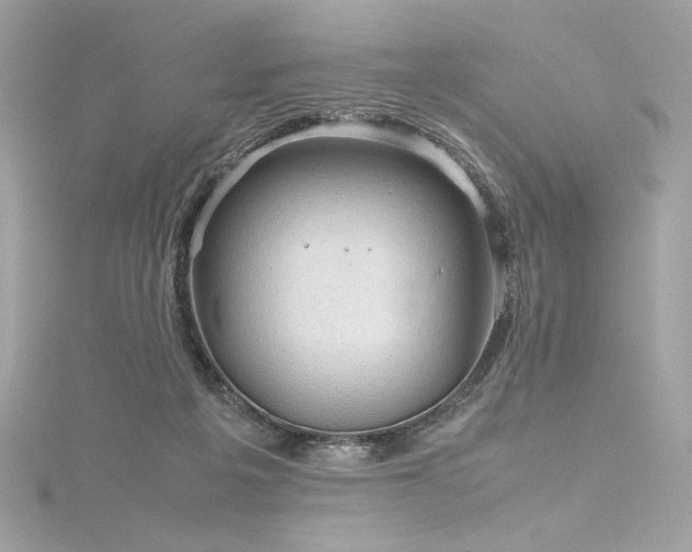 X0000116310217200911301510