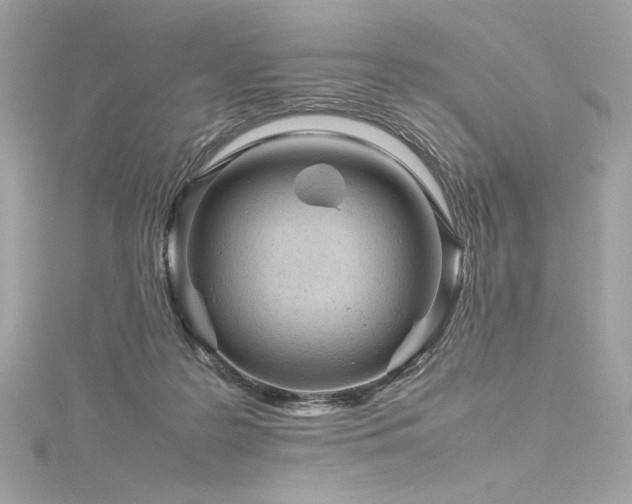 X0000116310219200911301510