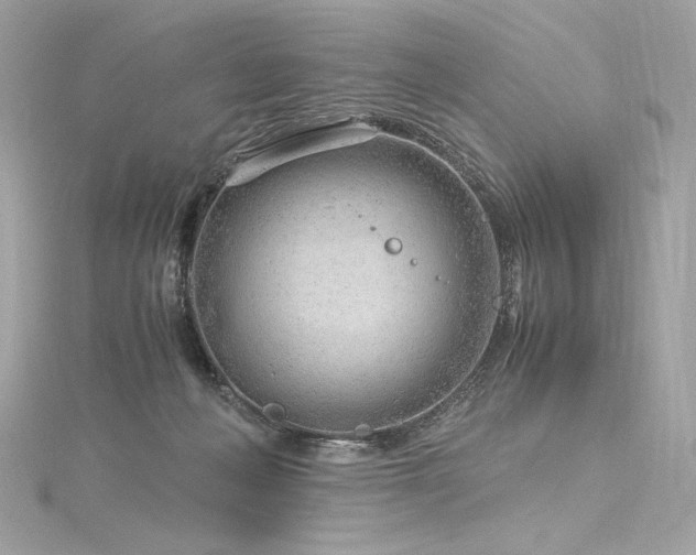 X0000116310222200911301510