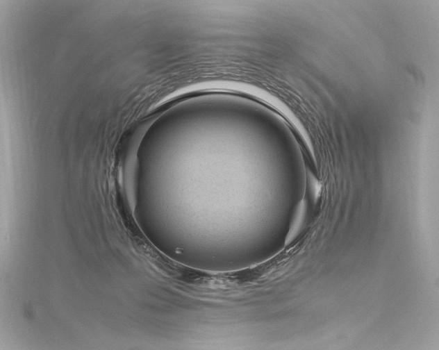 X0000116310223200911301509