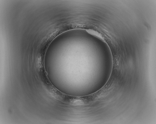 X0000116310224200911301509