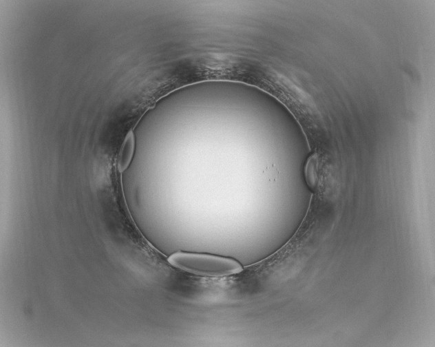 X0000116310225200911301509