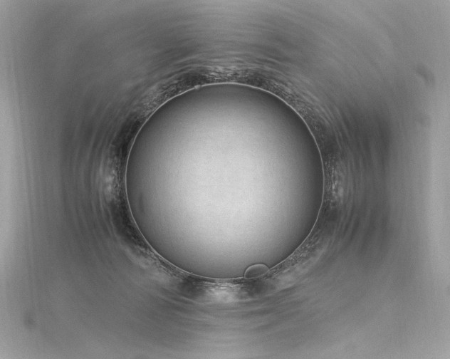 X0000116310226200911301509