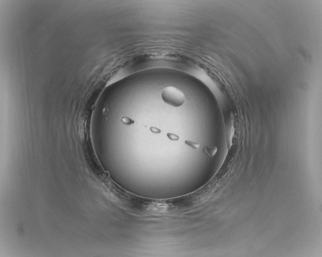 X0000116310227200911301509