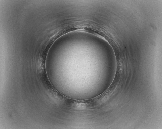 X0000116310228200911301509