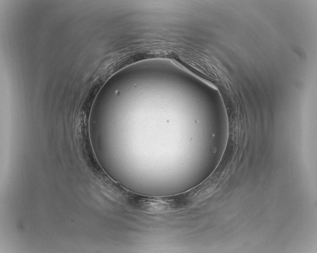 X0000116310229200911301509