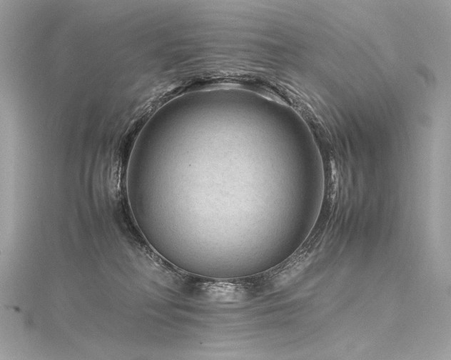 X0000116310230200911301509