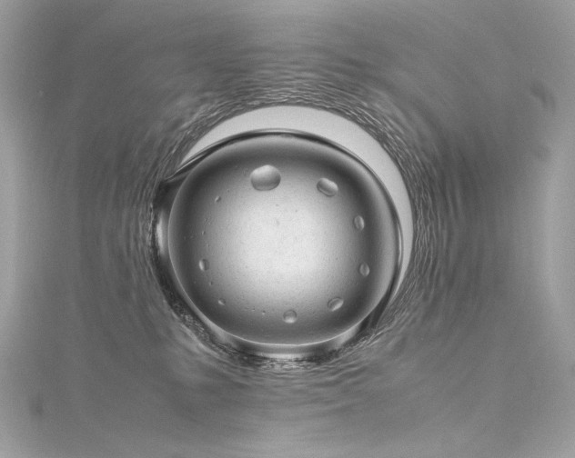 X0000116310231200911301509