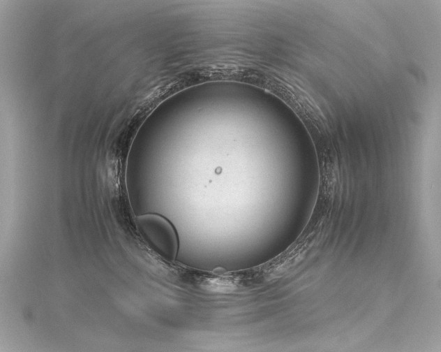 X0000116310232200911301509