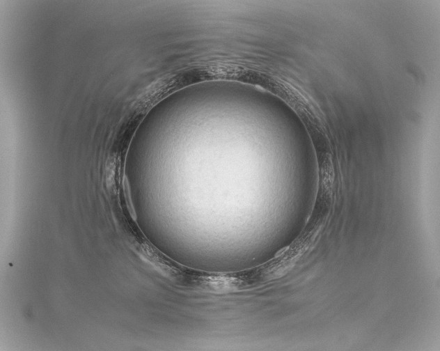 X0000116310233200911301509