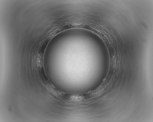 X0000116310234200911301509