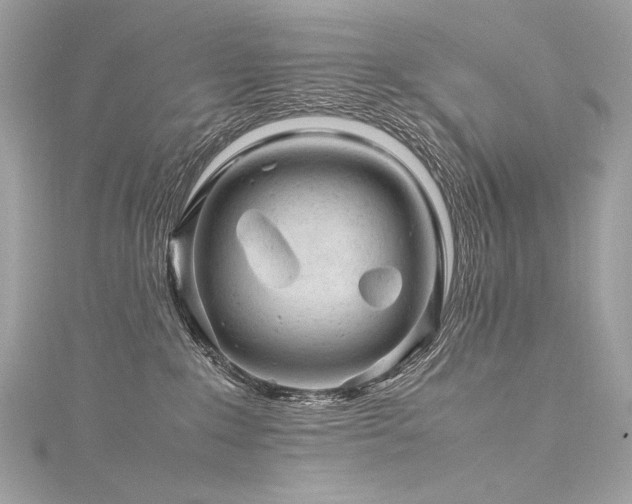 X0000116310235200911301509