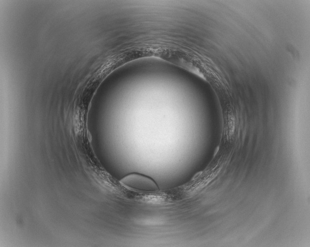 X0000116310236200911301509