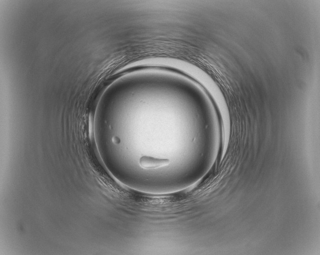 X0000116310237200911301509