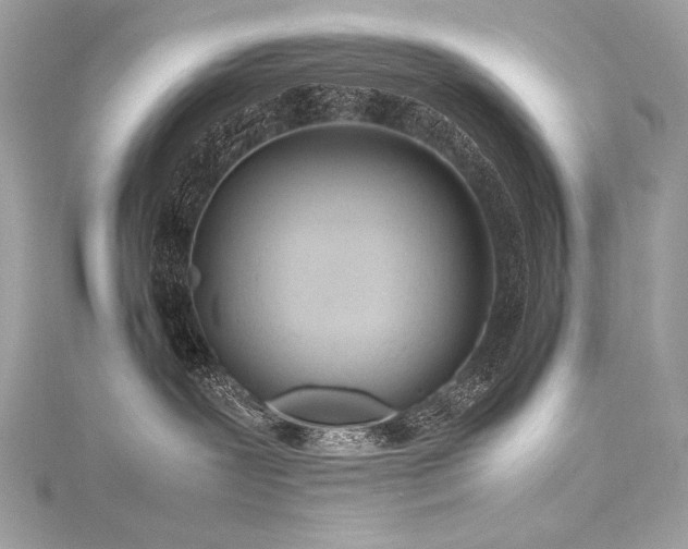 X0000116310239200911301509