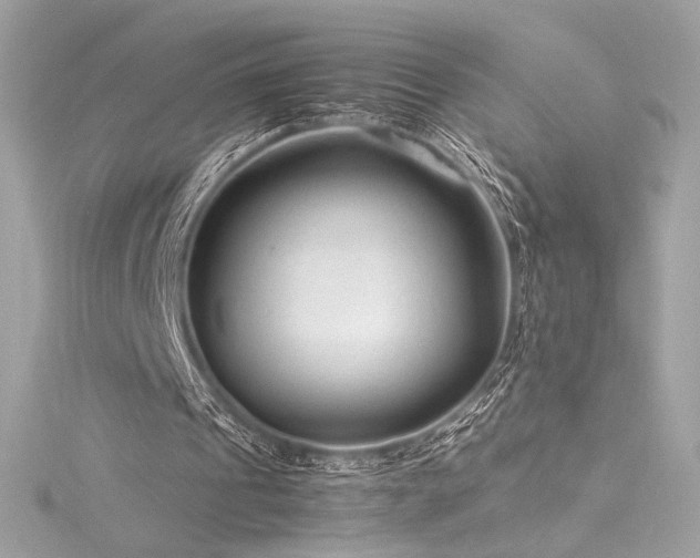 X0000116310241200911301509