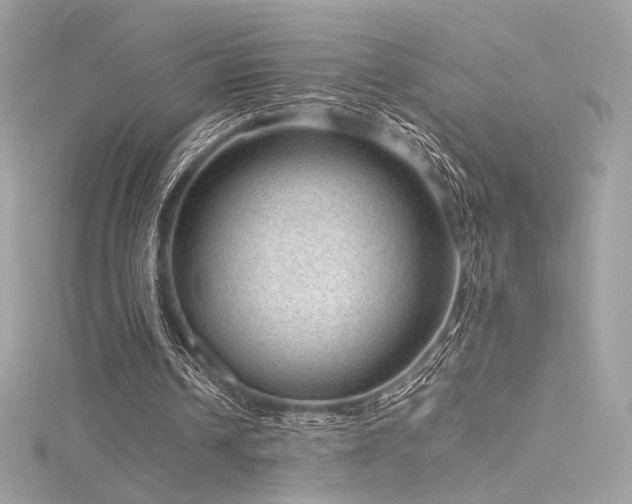 X0000116310242200911301509