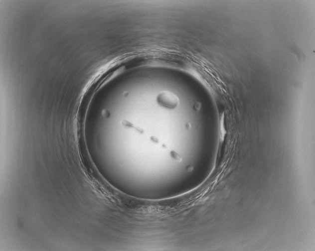 X0000116310244200911301509