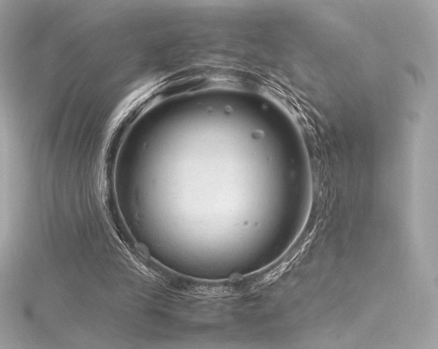 X0000116310245200911301509