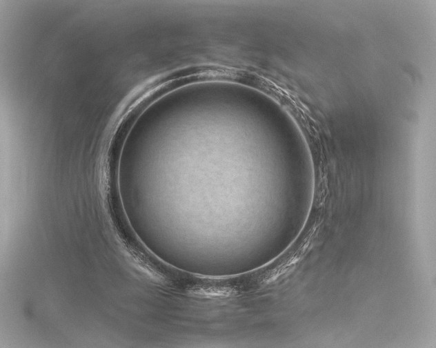 X0000116310247200911301509