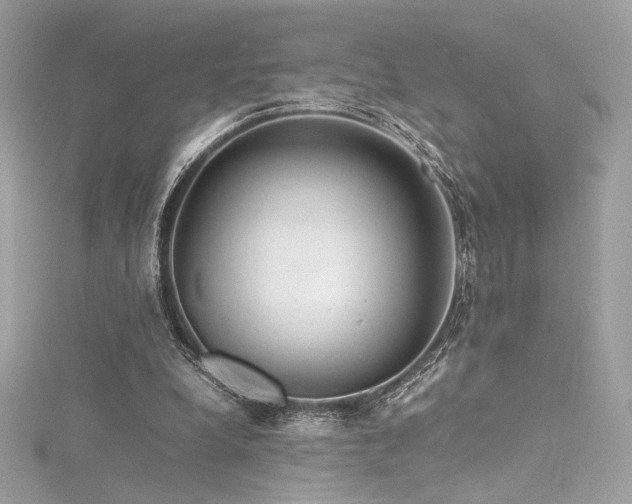 X0000116310248200911301509