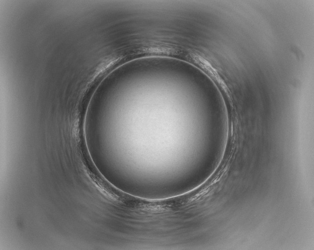 X0000116310249200911301509