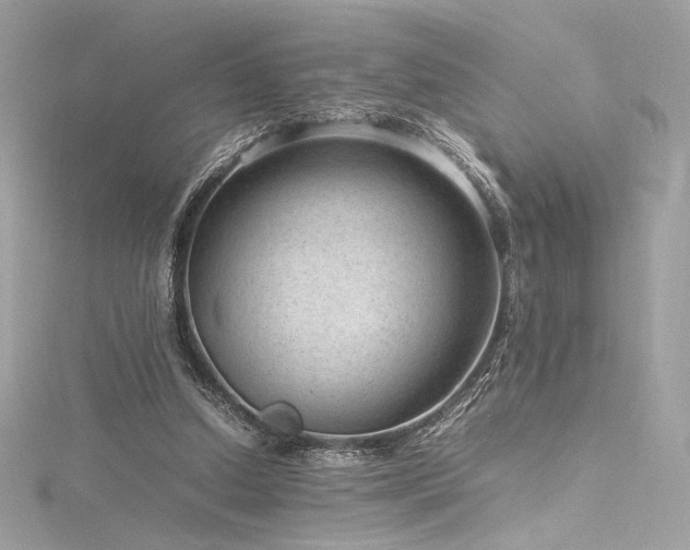 X0000116310250200911301509