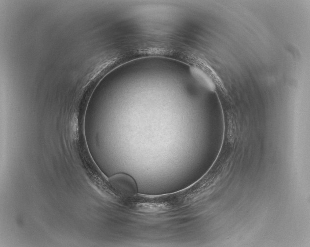 X0000116310251200911301509