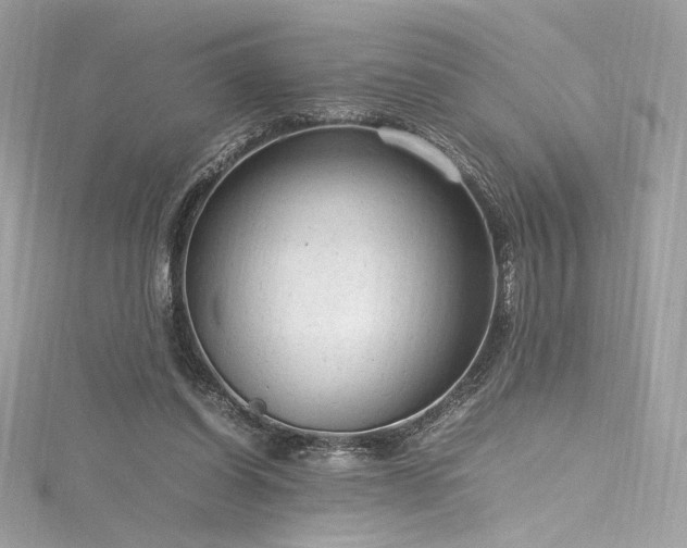 X0000116310254200911301509