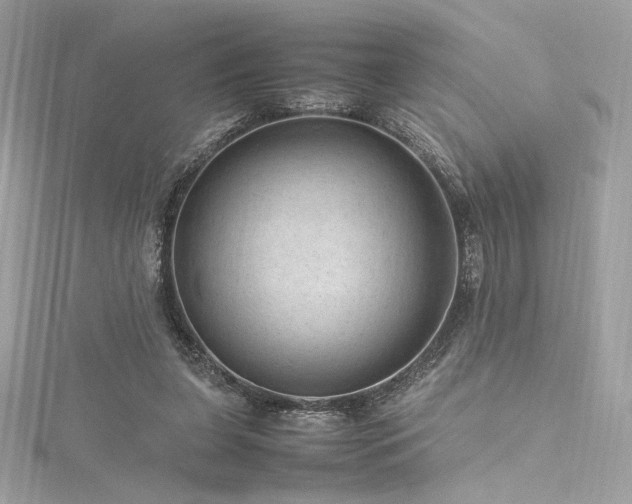 X0000116310255200911301509