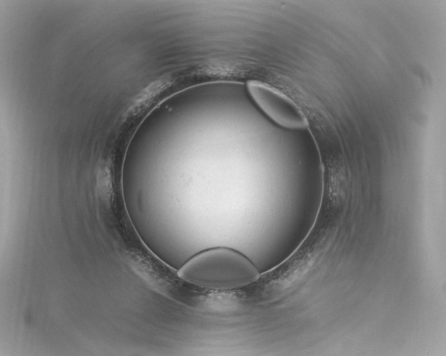 X0000116310256200911301509