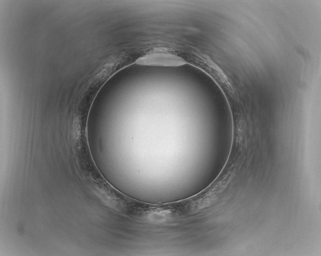 X0000116310257200911301509