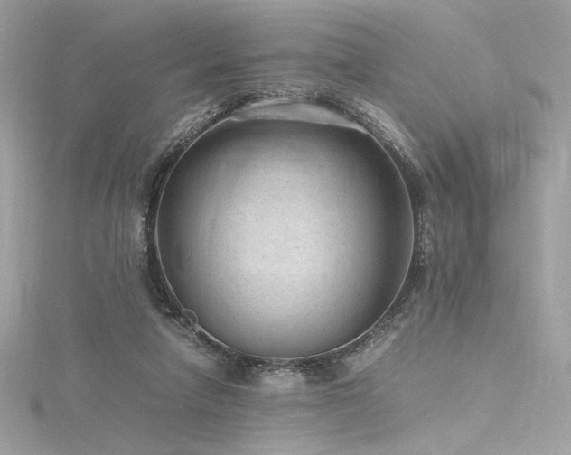 X0000116310258200911301509