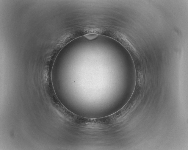 X0000116310259200911301509