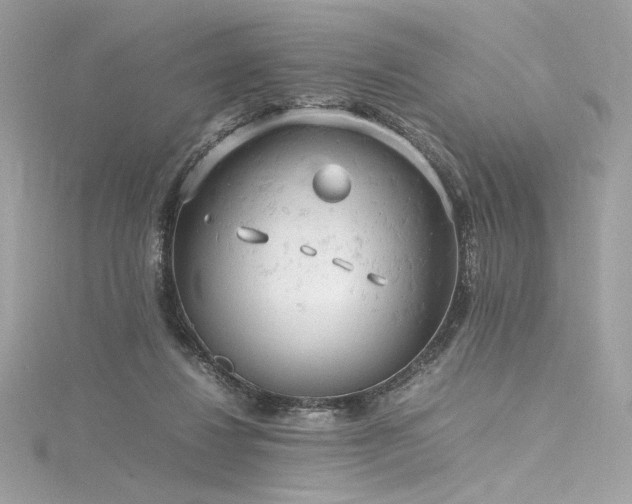 X0000116310260200911301509