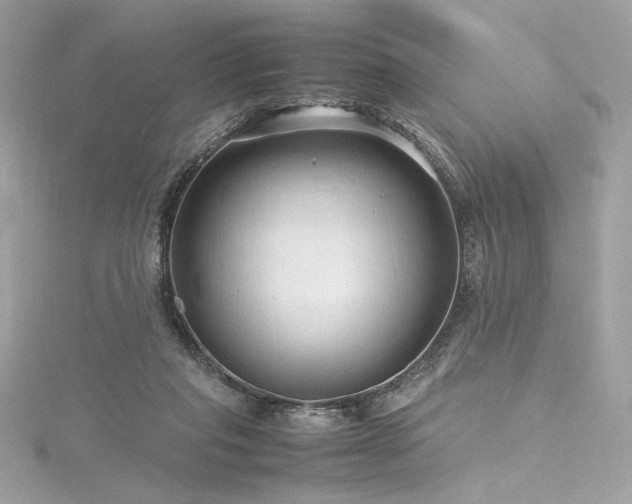 X0000116310261200911301509