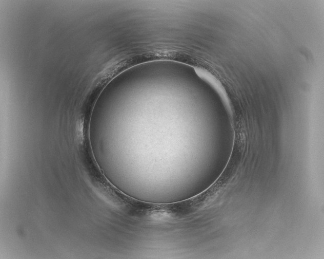 X0000116310262200911301509